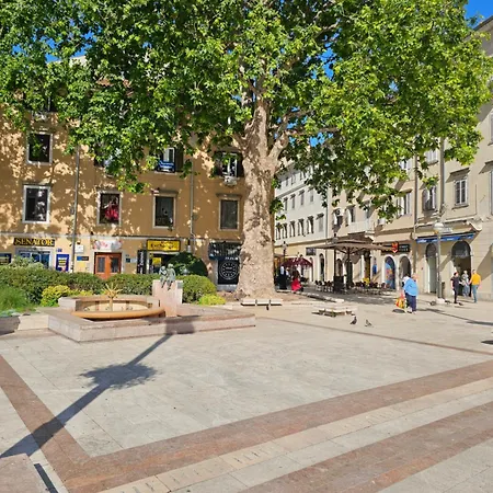 Centre * Rijeka